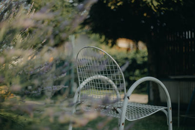 Close-up of empty chair against plants in yard