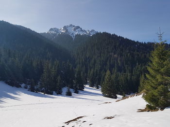 Scenic view of snow covered mountains against sky