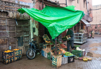 Potted plants on street market in city