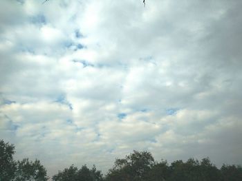 Low angle view of trees against cloudy sky