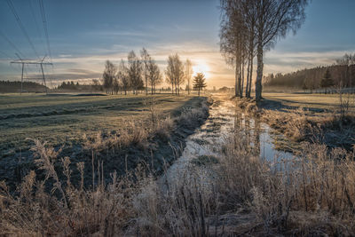 Bare trees on field against sky during winter