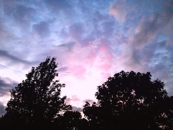 Silhouette of trees against cloudy sky