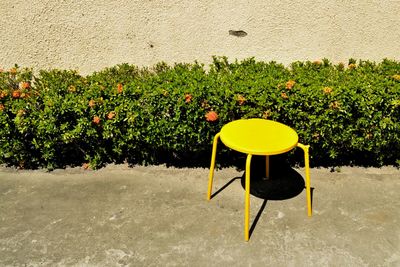 High angle view of yellow stool by plant during sunny day