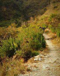 People walking on field by mountain