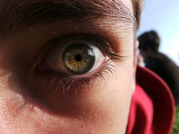 Extreme close up of human eye