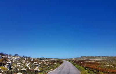 Road amidst plants against clear blue sky