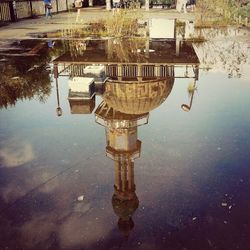 Reflection of trees in water