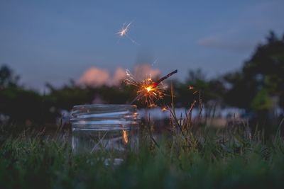 Firework display on field against sky