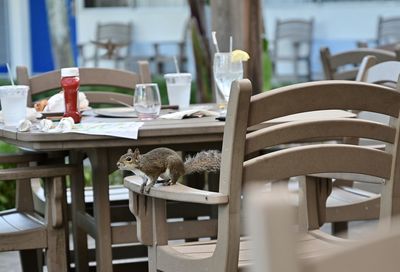 Empty chairs and tables in restaurant