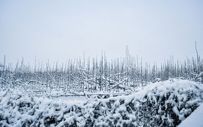 Snow covered landscape against clear sky