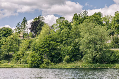 Trees by lake against sky