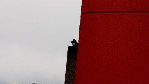Low angle view of bird perching on red against sky