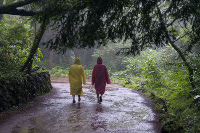 Rear view of friends wearing raincoat walking at bijarim forest during rainy season