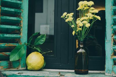 Close-up of fruits and flowers on windows ill