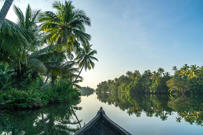 Palm trees by lake against sky