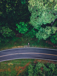 Man riding bicycle on road by trees
