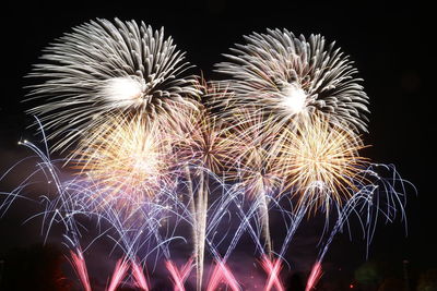 Low angle view of firework display at night