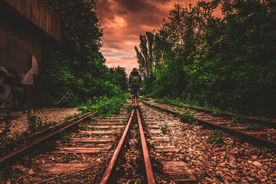 Railroad tracks by trees against sky