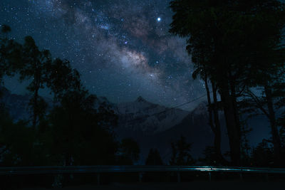 Low angle view of trees against sky at night