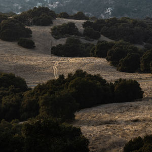 Scenic view of landscape