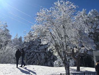 Person standing by tree against sky during winter