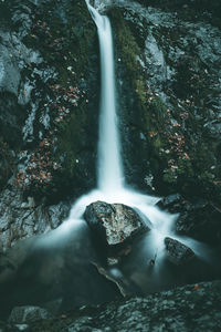 Scenic view of waterfall in forest