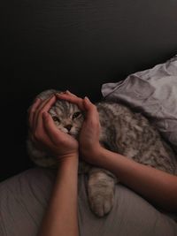 Low section of person with cat on bed against black background