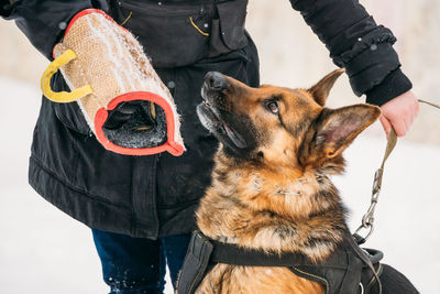 Midsection of man with dog