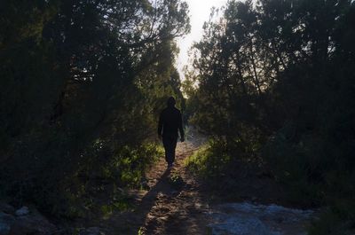 Rear view of man walking on footpath in forest