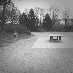 Empty road with trees in background