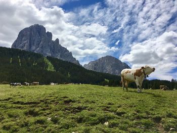 Cows on landscape against mountains