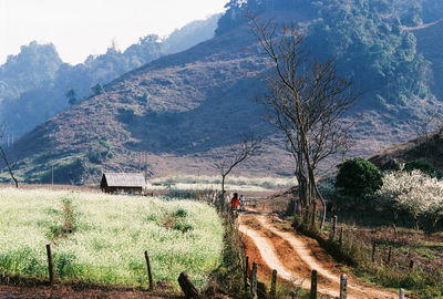 Scenic view of field by mountains against sky