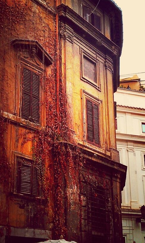 building exterior, architecture, built structure, window, low angle view, building, residential building, residential structure, house, old, glass - material, outdoors, city, no people, brick wall, reflection, day, facade, door, weathered