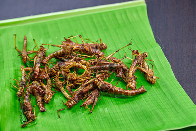 Pile fried grasshoppers ready to eat on green leaf banana