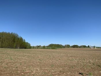 Scenic view of field against clear blue sky