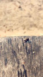 Close-up of sand on beach