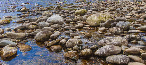 Stones in a mountain river. wild nature. selective focus