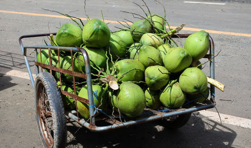 Close-up of coconuts in push cart on road