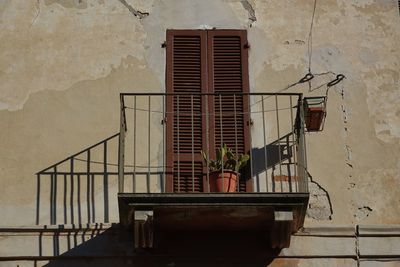 Close-up of potted plant against house