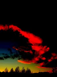 Low angle view of silhouette trees against sky at night