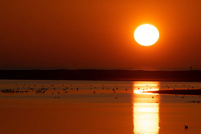 Scenic view of sea against orange sky