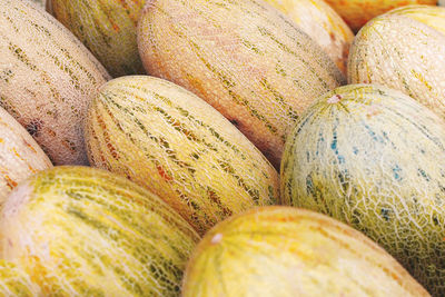 Melons are on the counter in a vegetable store