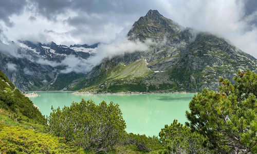 Gelmersee in green