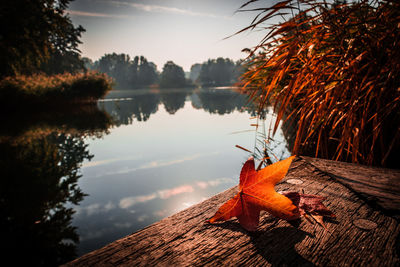 Reflection of autumn leaves in lake against sky during sunset