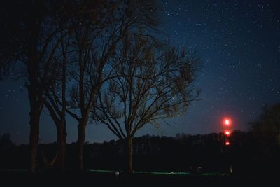 Bare trees on landscape at night