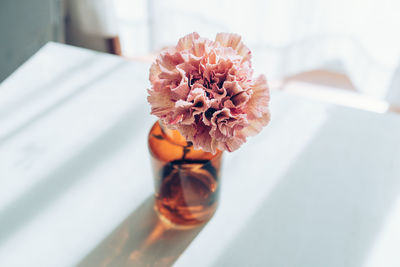 Carnation in vase, living room, lifestyle concept