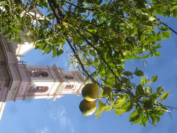 Low angle view of building against blue sky