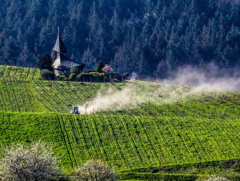 Scenic view of agricultural field