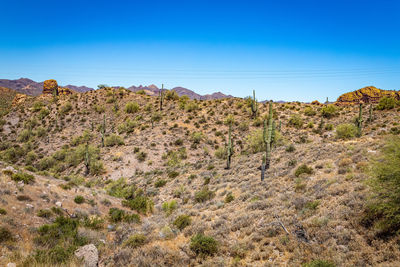 Scenic view of landscape against clear blue sky