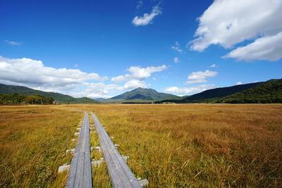 Scenic view of field against sky
